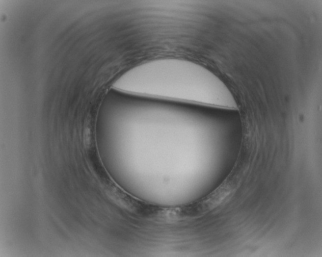 X0000067520080200604071035