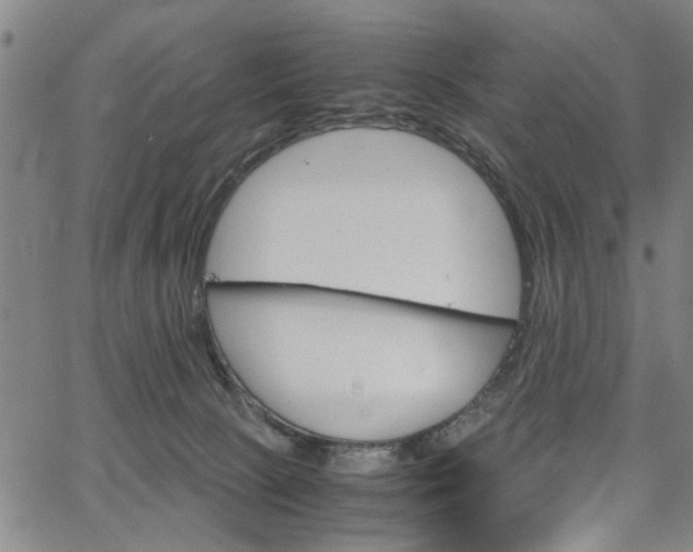 X0000067520081200604071035