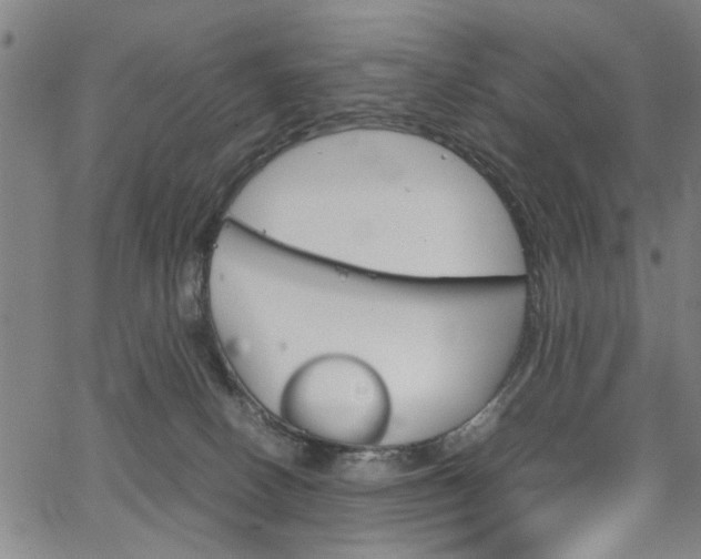 X0000067520082200604071035