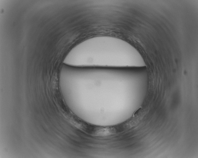 X0000067520083200604071035