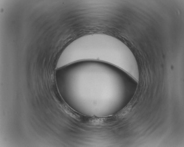 X0000067520084200604071035