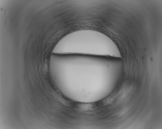 X0000067520085200604071035