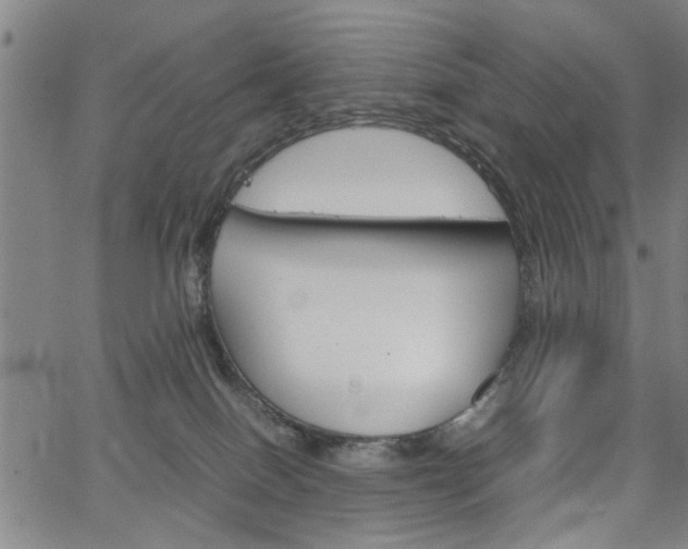 X0000067520086200604071035