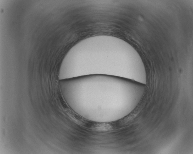 X0000067520087200604071035