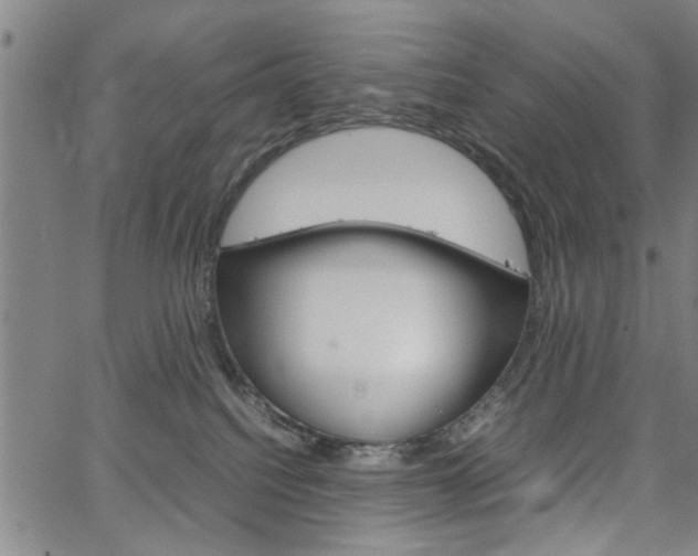 X0000067520088200604071035