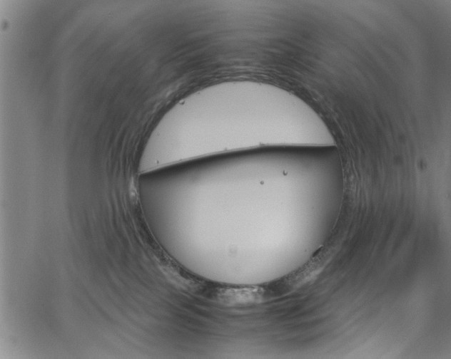 X0000067520089200604071035