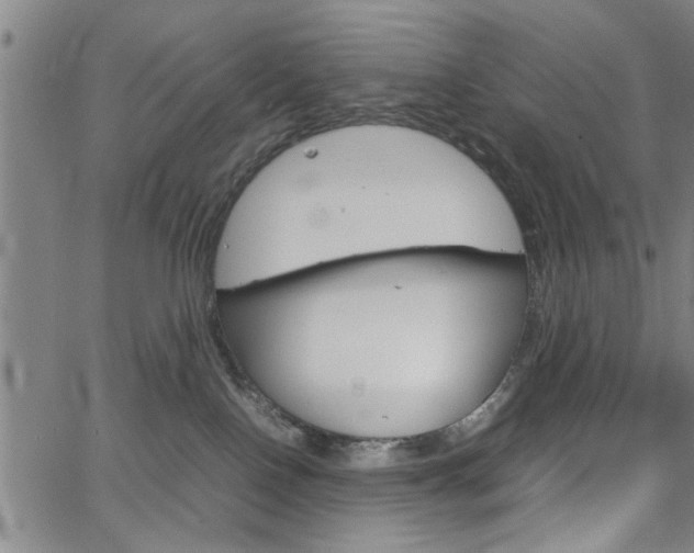 X0000067520090200604071035