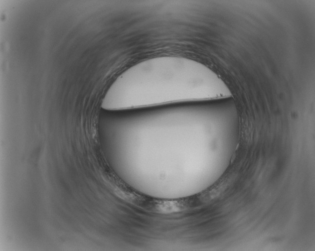 X0000067520091200604071035