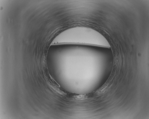 X0000067520092200604071035