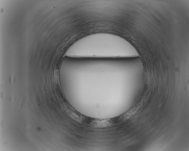 X0000067520093200604071035