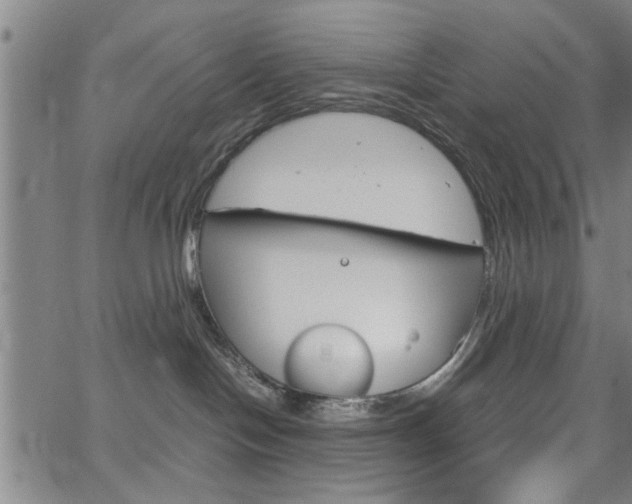 X0000067520094200604071035