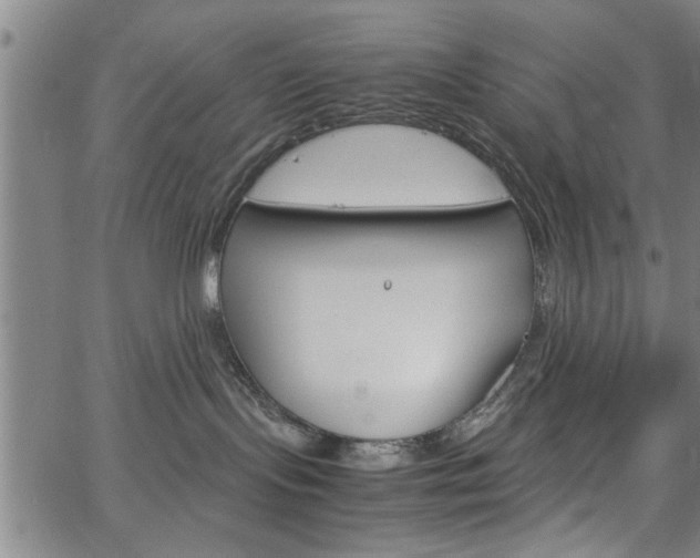 X0000067520095200604071035