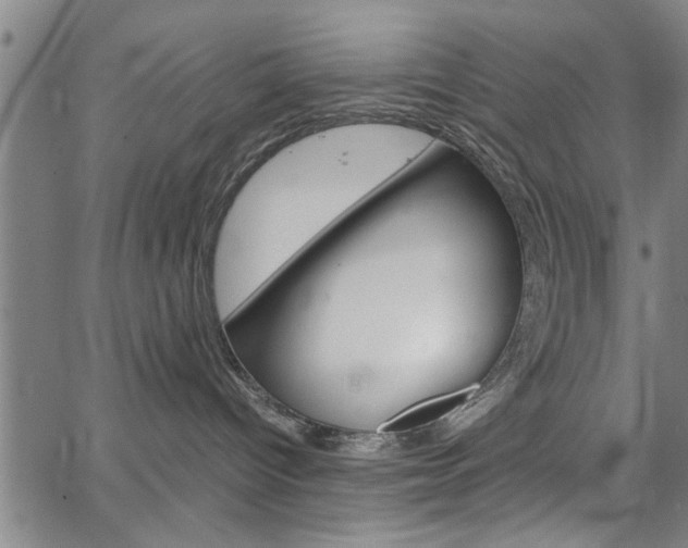 X0000067520096200604071035