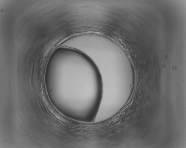 X0000067520097200604071034