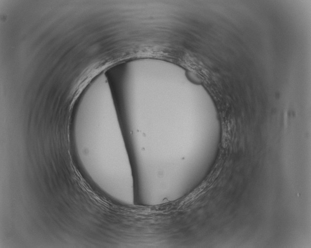 X0000067520098200604071034