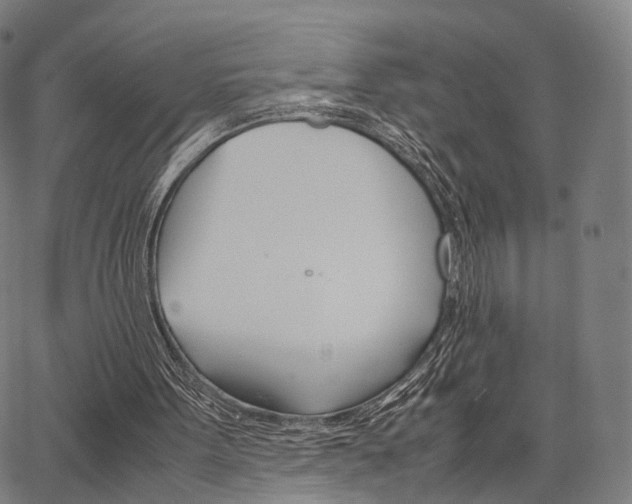 X0000067520099200604071034