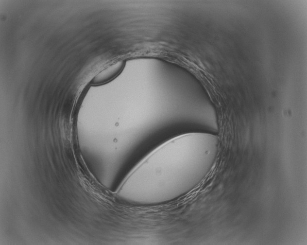 X0000067520100200604071034