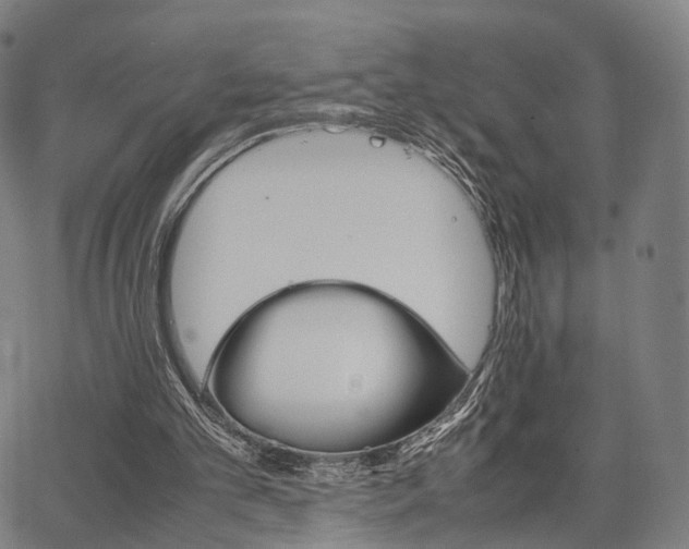 X0000067520101200604071034