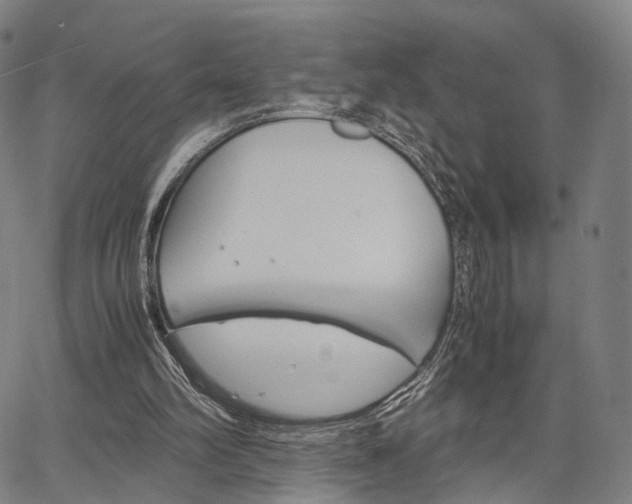 X0000067520102200604071034