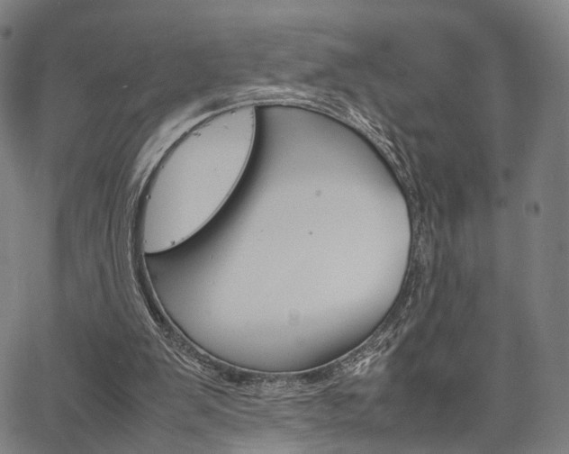 X0000067520103200604071034