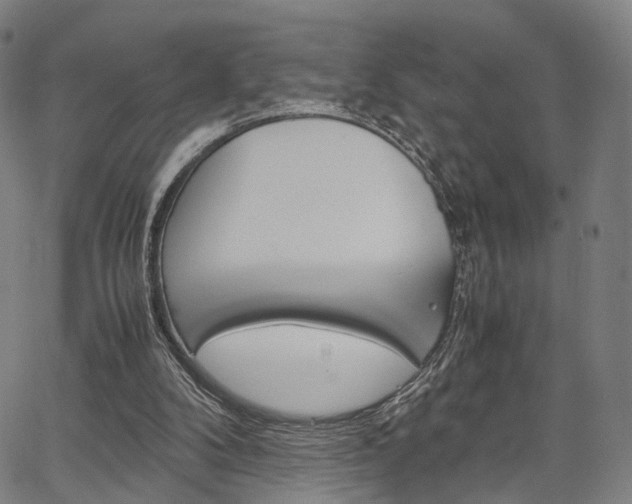 X0000067520104200604071034