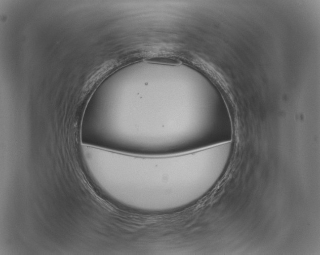 X0000067520105200604071034