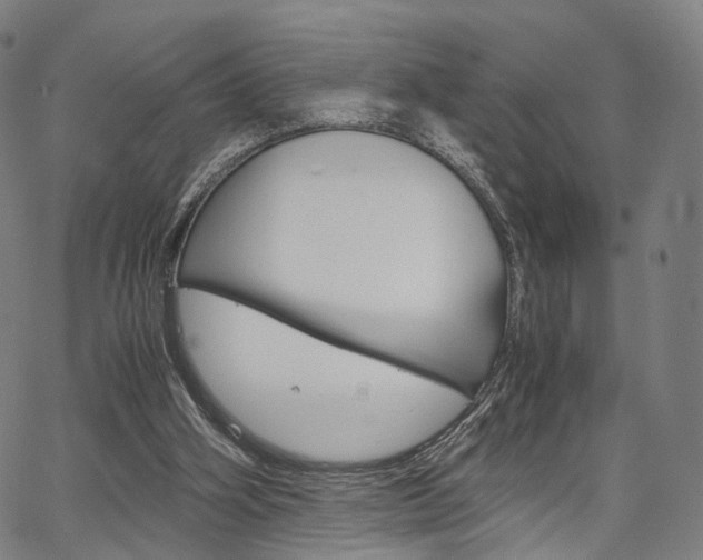 X0000067520106200604071034