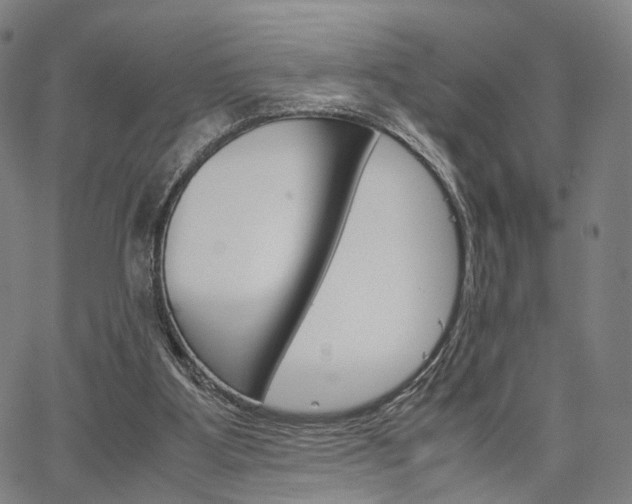 X0000067520107200604071034