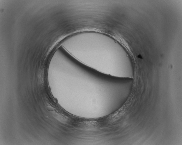 X0000067520108200604071034