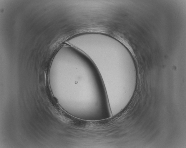 X0000067520109200604071034