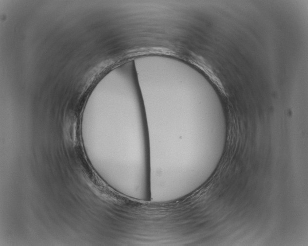 X0000067520110200604071034