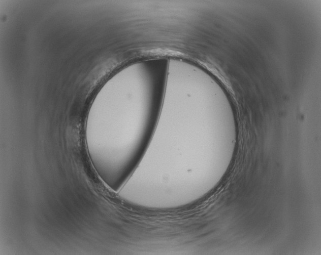 X0000067520111200604071034