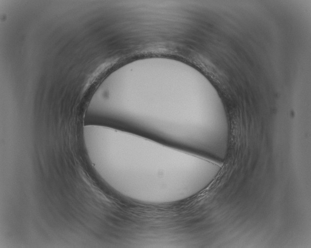 X0000067520112200604071034