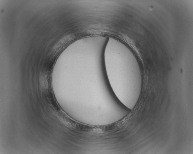 X0000067520114200604071034