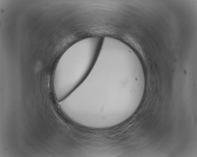 X0000067520115200604071034