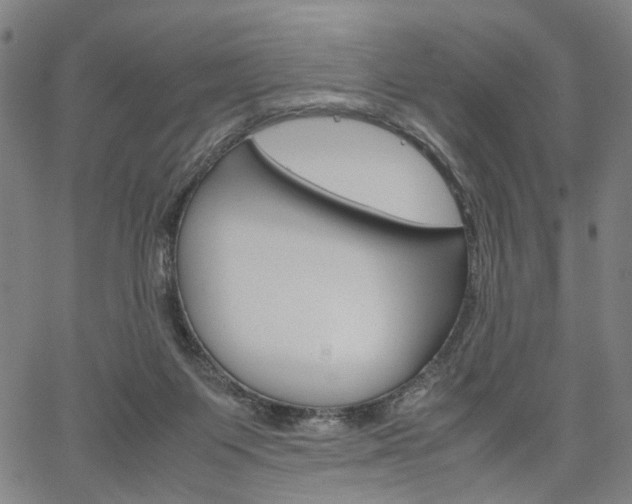 X0000067520119200604071034