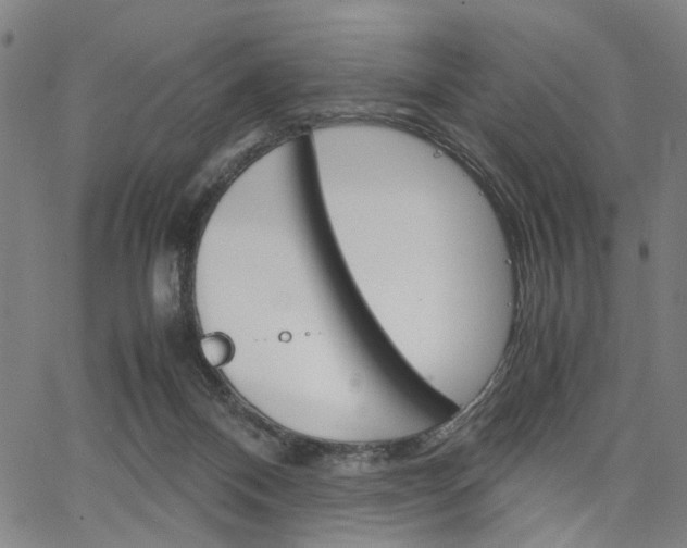 X0000067520120200604071034