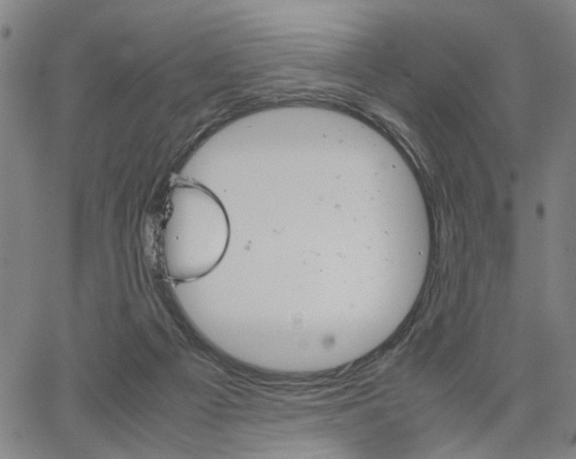 X0000067520121200604071034