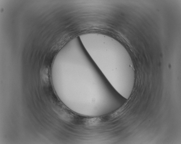 X0000067520122200604071034