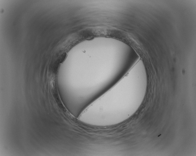 X0000067520125200604071034