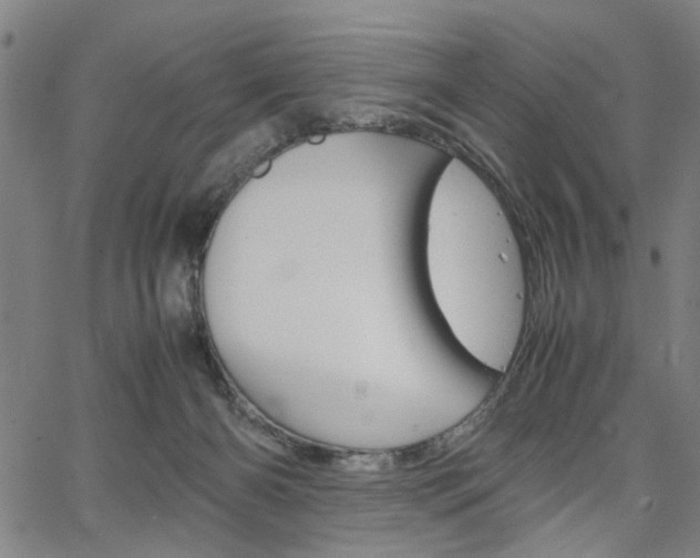 X0000067520126200604071034