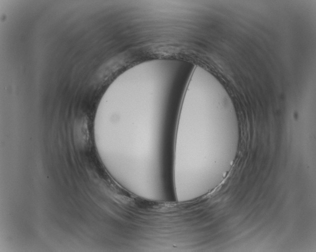 X0000067520128200604071034