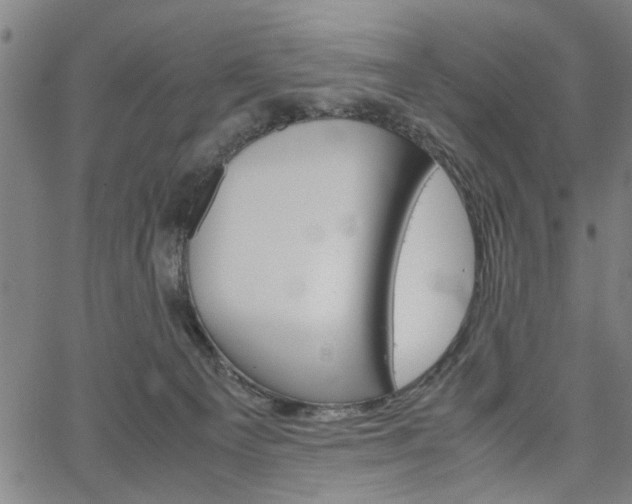 X0000067520129200604071034