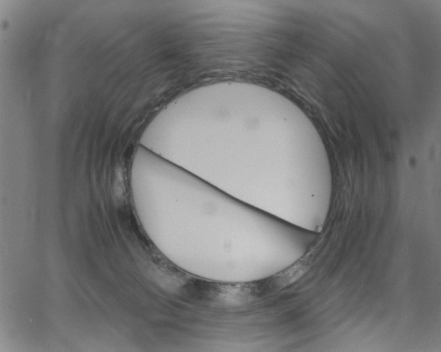 X0000067520130200604071034