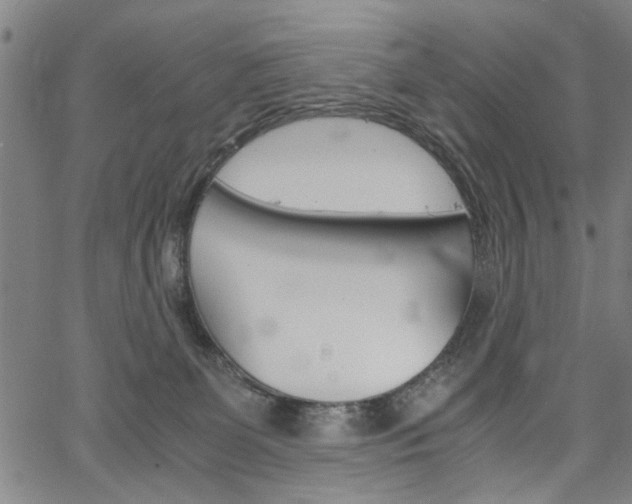 X0000067520131200604071034