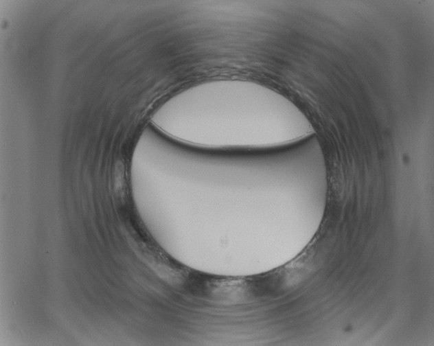 X0000067520132200604071034