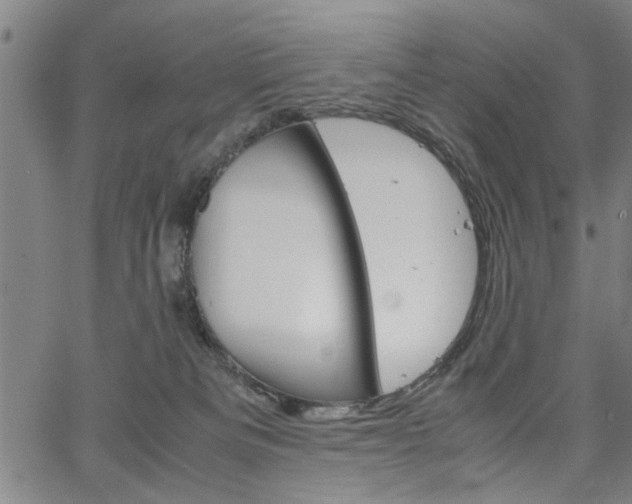 X0000067520133200604071034