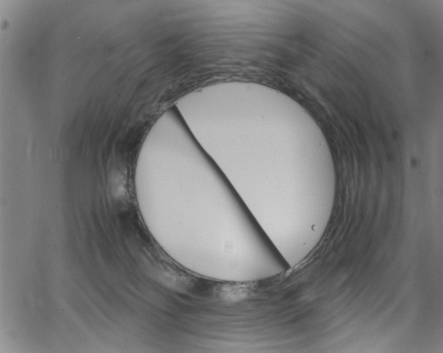 X0000067520134200604071034