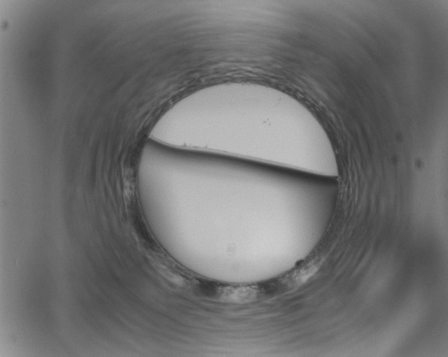 X0000067520135200604071033