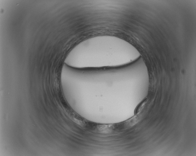 X0000067520136200604071033